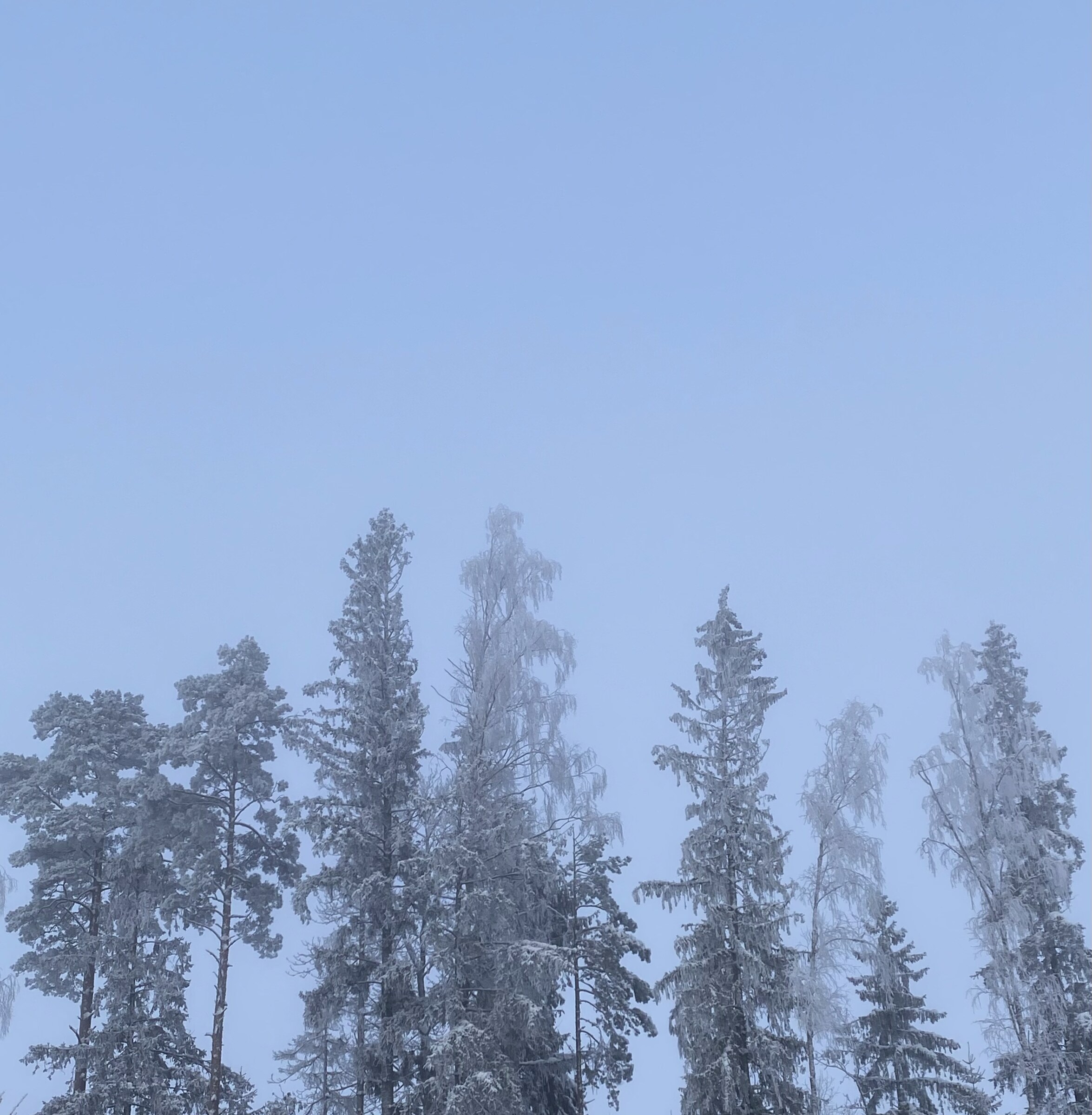 Frost & mist