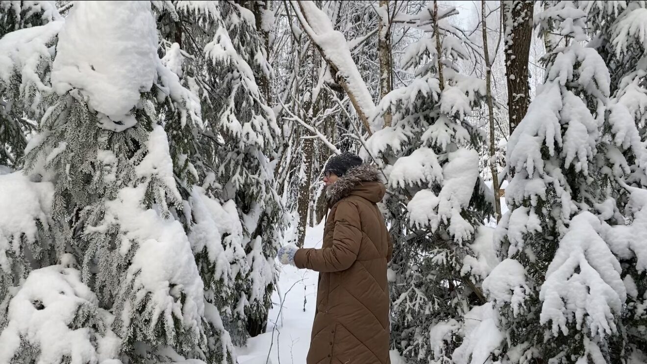 Maasikmäe pereprojekt